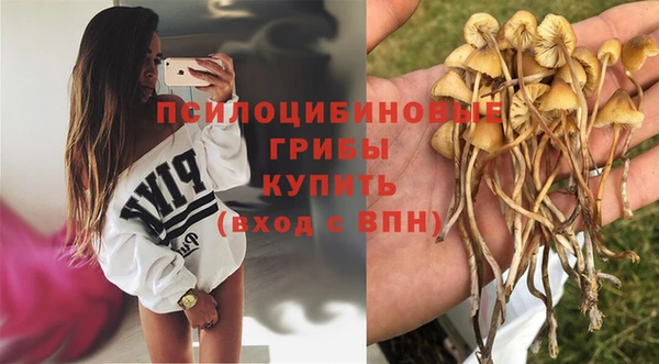 герыч Абаза