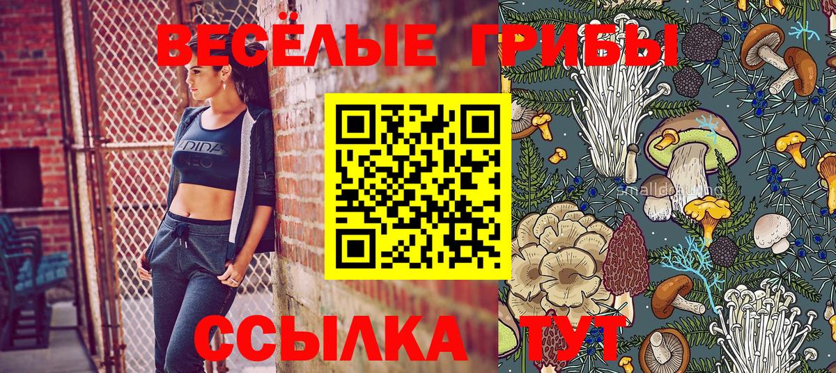 Донской  Галлюциногенные грибы Psilocybine cubensis  Галлюциногенные грибы мицелий  где можно купить наркотик  Вход с VPN 