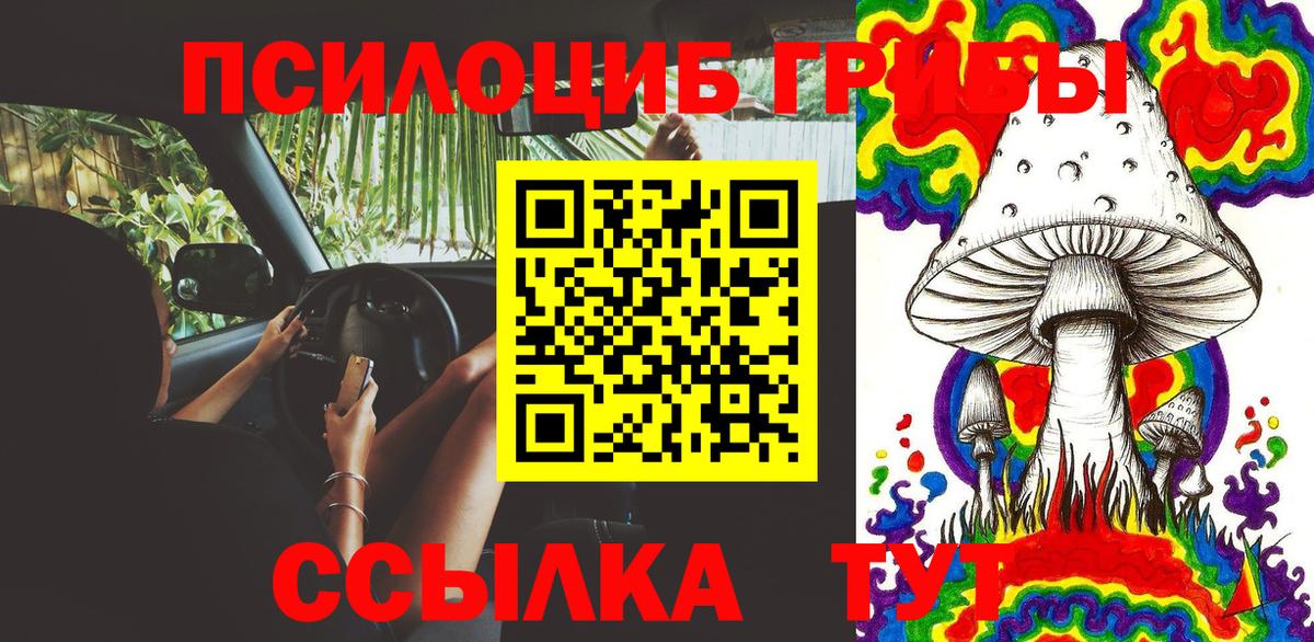 Псилоцибиновые грибы мухоморы Донской